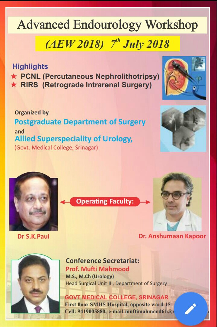 Advanced endurology workshop